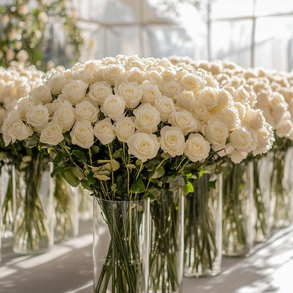 Everlasting White Roses Collection