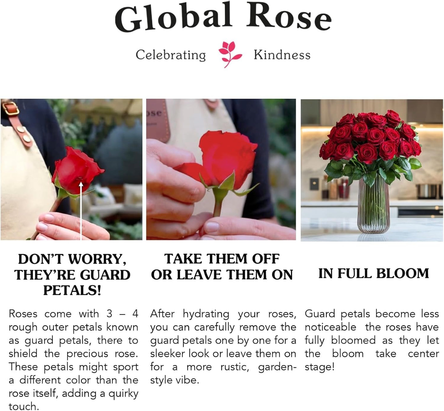 Ultimate Long-Lasting Rose Gift Collection